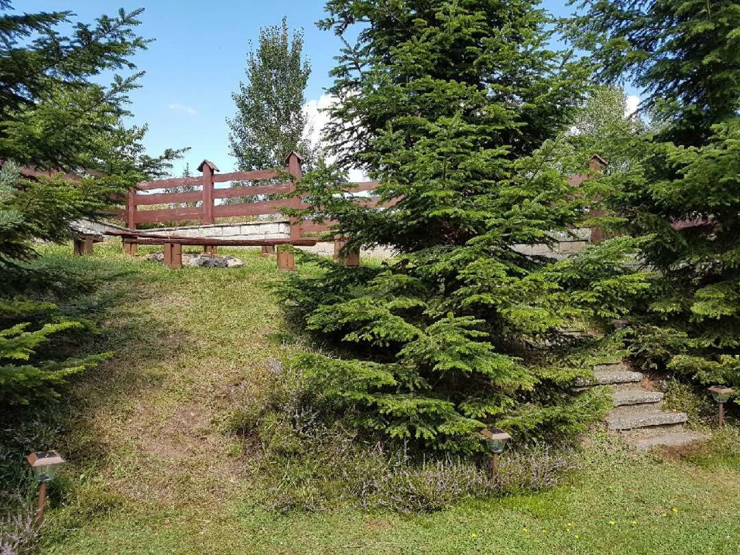 Villa Dom Na Wzgorzu à Polanica-Zdrój Extérieur photo