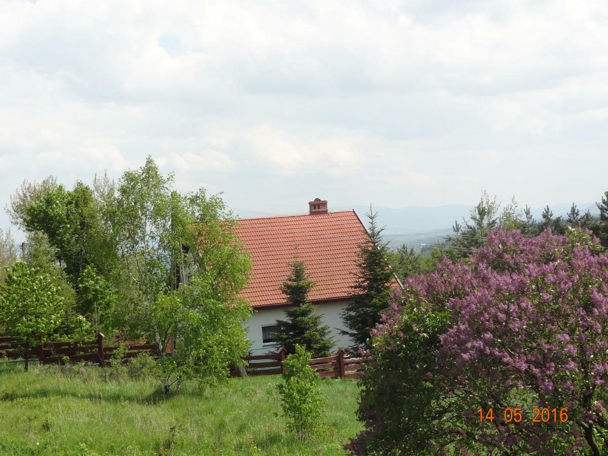 Villa Dom Na Wzgorzu à Polanica-Zdrój Extérieur photo