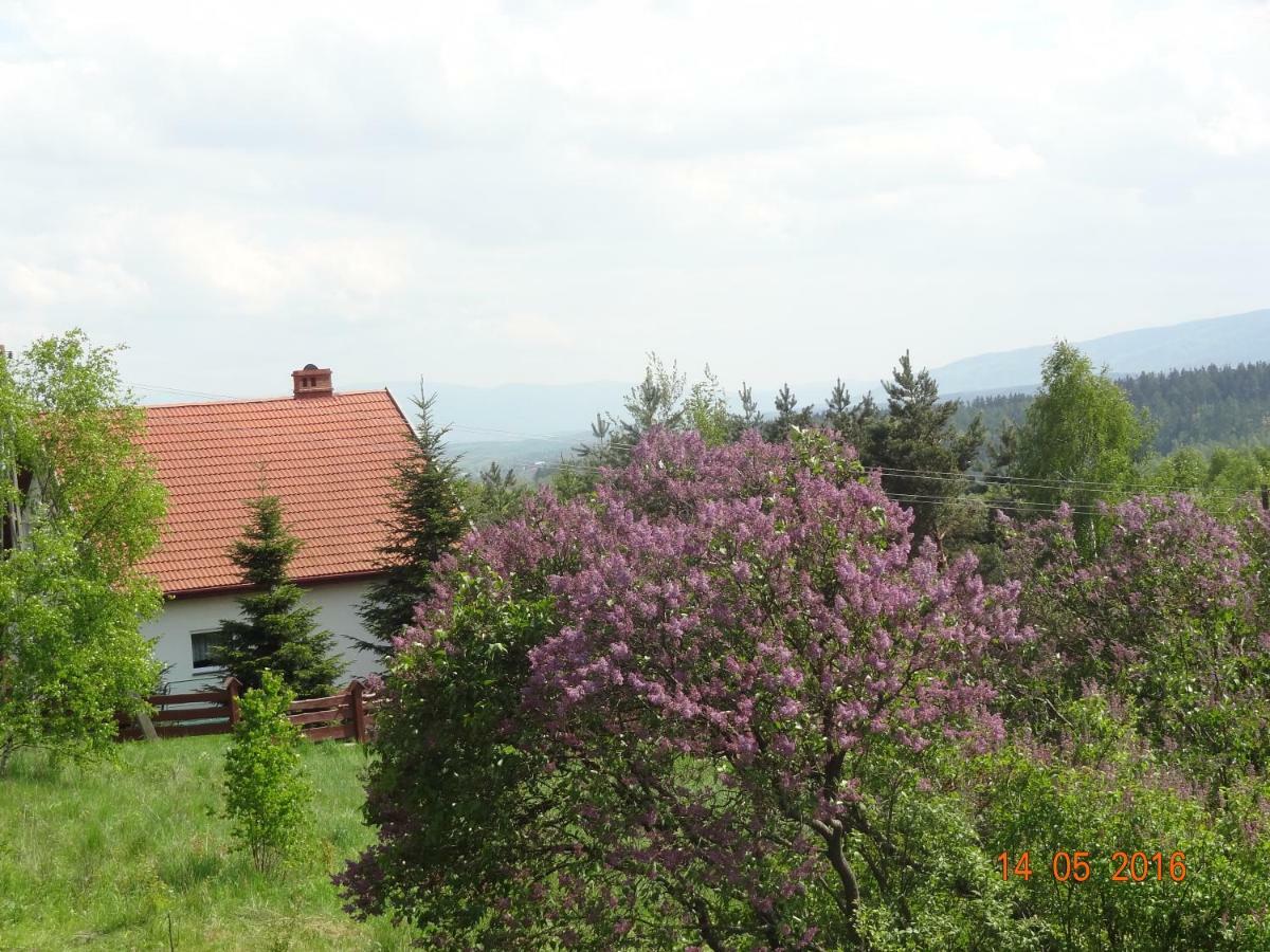 Villa Dom Na Wzgorzu à Polanica-Zdrój Extérieur photo