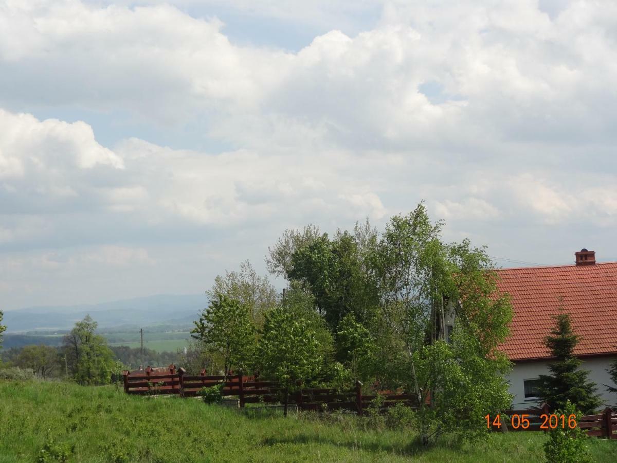 Villa Dom Na Wzgorzu à Polanica-Zdrój Extérieur photo